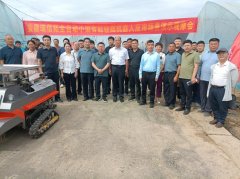 <strong>淮南市：蔬菜智能移栽机演示 加快产学研</strong>